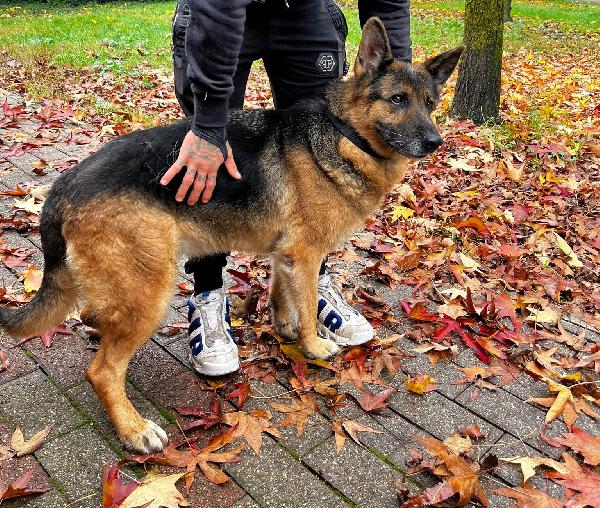 FEDERICA PASTORE TEDESCO Foto 3